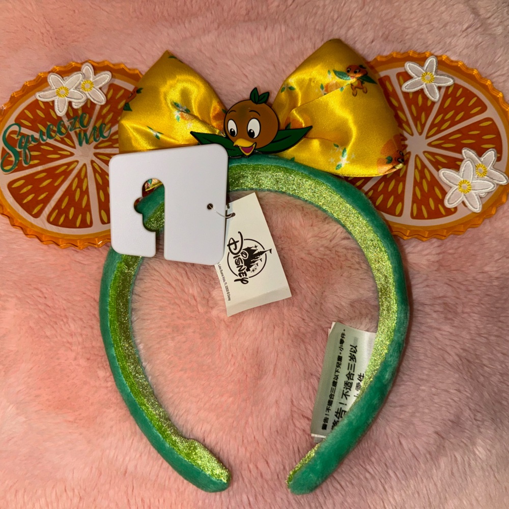 Disney Epcot ears!